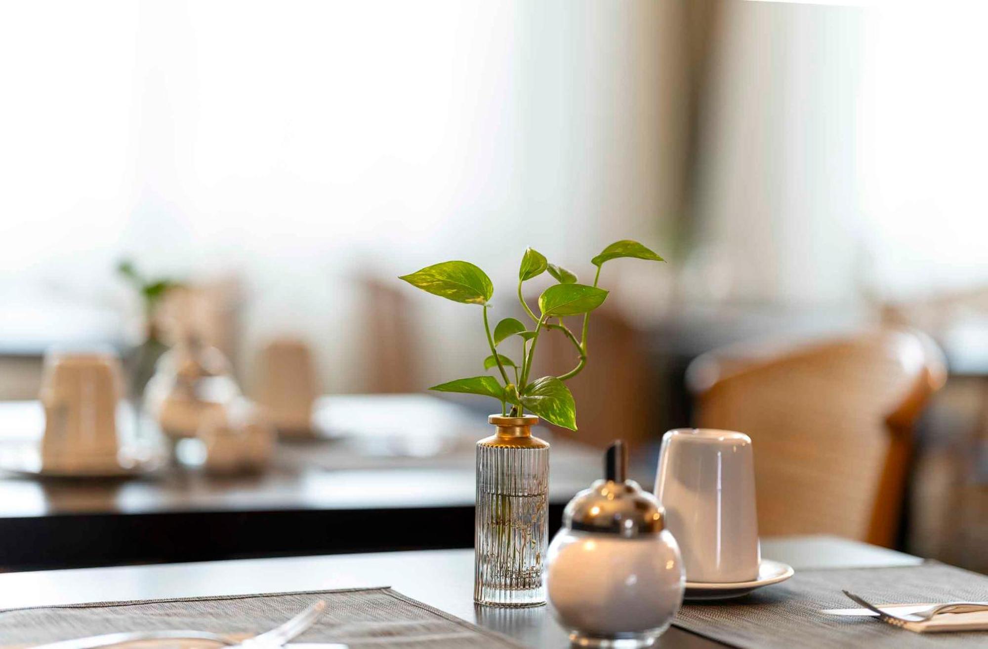 Plaza Inn Blankenburg Ditzingen, Sure Hotel Collection Zewnętrze zdjęcie